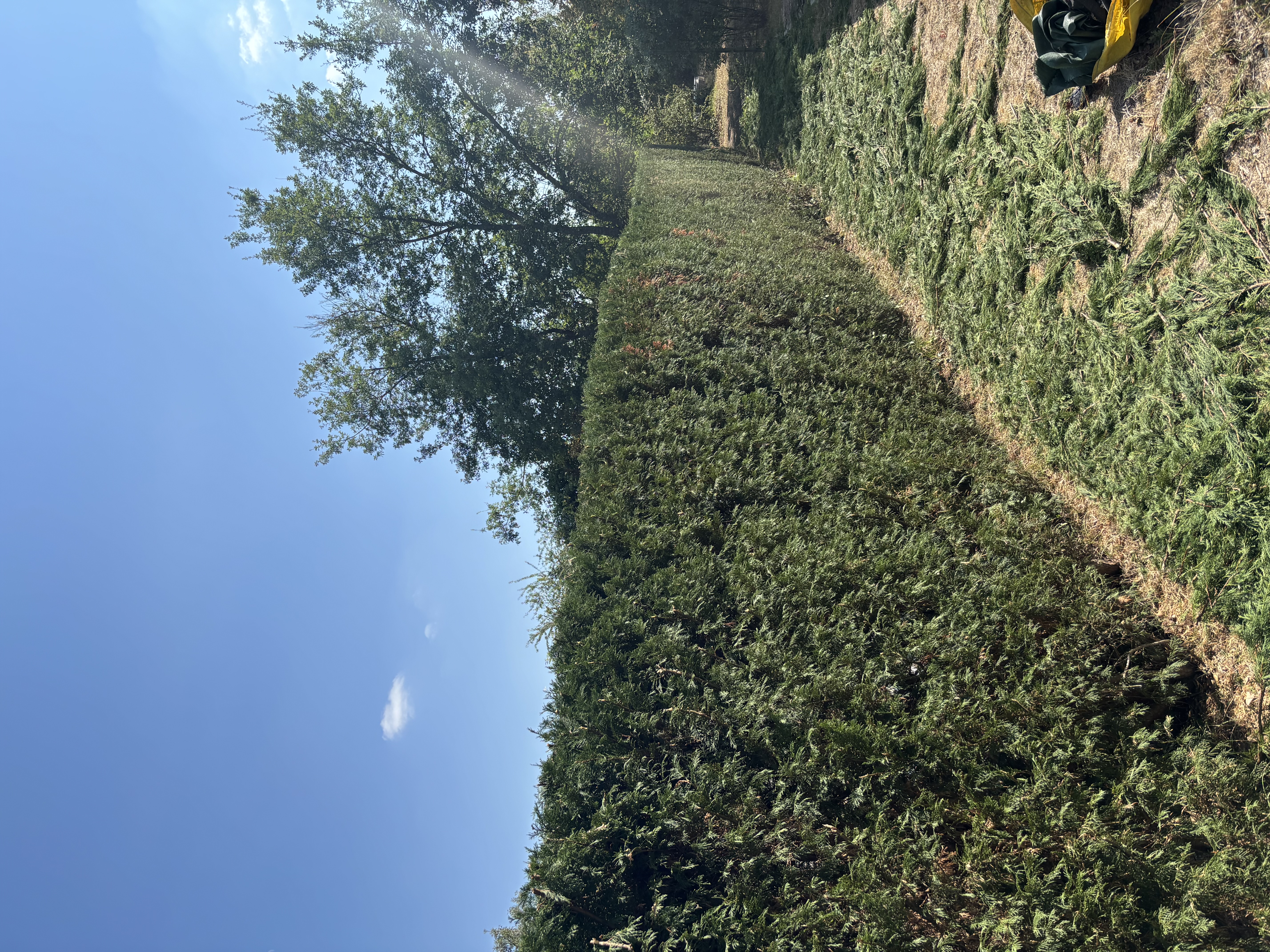 Landscape background