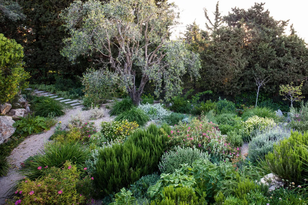 Garden & Grounds